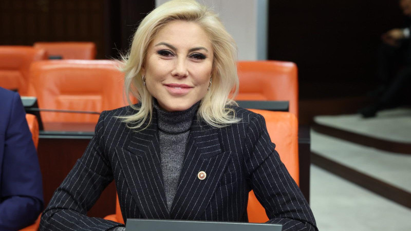 Bursalı Aksoy: 